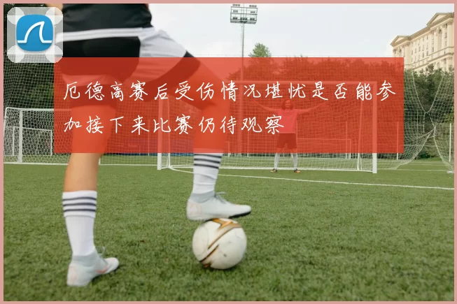 厄德高赛后受伤情况堪忧是否能参加接下来比赛仍待观察